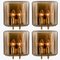 Smoked Glass Wall Lights attributed to Glashütte Limburg, 1960s, Set of 2, Image 6