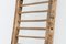 20th Century Rustic Climbing Frame, France, Image 6