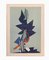 Gianni Dova, Flight, Lithograph, Image 1