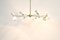 Italian Eight Arm Chandelier, Image 5