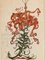 Salvador Dali, Blumen: Lilium Aurancacium et labra barocantia, 1972, Original Radierung 4