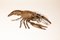 Bronze Crayfish Figurine, 1900s, Image 1
