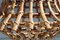 Lámparas de techo de bambú y latón, Italia, años 50. Juego de 2, Imagen 7