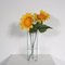 Transparente Variflor Vase von Max Rond für Indoor, Niederlande, 1980er 3