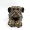 Scultura Bulldog grande in bronzo, anni '70, Immagine 2