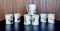 Servicio de té con jarra y tazas italianas de cerámica con motivos de imagen rural pintados a mano de Andrea Darienzo para Vietri, años 50. Juego de 7, Imagen 1