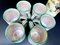 Servicio de té con jarra y tazas italianas de cerámica con motivos de imagen rural pintados a mano de Andrea Darienzo para Vietri, años 50. Juego de 7, Imagen 5