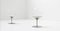 Champagne Chairs by Estelle & Erwin Laverne, 1962, Set of 2, Image 5