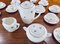 Porcelain Tableware from Sarreguemines, France, 1960s, Set of 48 3