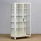 Vintage Steel and Glass Medical Cabinet, 1960s, Image 2