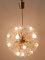 Lámpara de araña Dandelion 17 luces de Emil Stejnar para Rupert Nikoll, años 50, Imagen 6