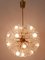 Lámpara de araña Dandelion 17 luces de Emil Stejnar para Rupert Nikoll, años 50, Imagen 8