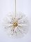 17-Light Dandelion Chandelier by Emil Stejnar for Rupert Nikoll 1950s 3