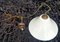 Antique Opaline Glass Ceiling Lamp, Image 2