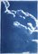 Art of Cyan, Diptychon der schwebenden Wolken, Cyanotypie-Druck, 2023 4