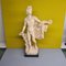 Apollo of Belvedere Figurine in Resin by A. Santini, 1960s 1