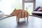 Mhuka Forest The Boar from Ulap Design 1