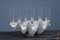 Tridacna Champagne Tray Oysters in Crystal Glasses by Gabriella Binazzi, 1970s 17