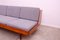 Sofá cama plegable Mid-Century de nogal de Nový Domov, años 70, Imagen 9