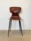Pagholz Chairs in Curved Plywood from Pagholz Flötotto, Set of 6 3