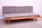 Mid-Century Czechoslovakian Folding Sofabed by Drevotvar, 1970s, Image 2