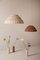 Small Kaskad Lamp in Rust from Schneid Studio 3