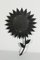 Sonnenblumen Spiegel von Vallauris, 1950er 7