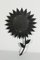 Sunflower Mirror from Vallauris, 1950s, Image 7