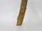 Sgabello da mungitura tripode in quercia, Francia, XIX secolo, Immagine 8