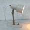 Adjustable Wall or Table Lamp from Stilnovo, 1960s 5