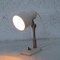 Adjustable Wall or Table Lamp from Stilnovo, 1960s 8