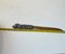 Antique Italian Brass Letter Opener with Dog Handle in Pewter 6