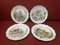 Cottage Garden Year Series Plates from Royal Albert, Set of 4 1