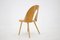 Antoni Suman Chair in Walnut, Czechoslovakia, 1960s 8