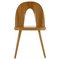 Antoni Suman Chair in Walnut, Czechoslovakia, 1960s 1