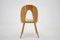 Antoni Suman Chair in Walnut, Czechoslovakia, 1960s 7