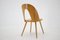 Antoni Suman Chair in Walnut, Czechoslovakia, 1960s 6