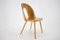 Antoni Suman Chair in Walnut, Czechoslovakia, 1960s 4