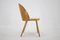 Antoni Suman Chair in Walnut, Czechoslovakia, 1960s 5