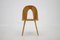 Antoni Suman Chair in Walnut, Czechoslovakia, 1960s 2
