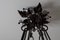 Vintage Wrought Iron Chandelier with Wine Leaves, 1920s 10