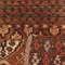 Bukhara Thin Knot Tekke Rug in Wool, Turkmenistan 9