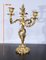 Candelabri in stile Luigi XV in bronzo dorato, fine XIX secolo, set di 2, Immagine 17