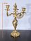 Louis XV Style Gilded Bronze Candelabras, Late 19th Century, Set of 2 17