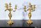 Candelabri in stile Luigi XV in bronzo dorato, fine XIX secolo, set di 2, Immagine 12