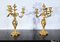 Louis XV Style Gilded Bronze Candelabras, Late 19th Century, Set of 2 12