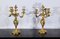 Louis XV Style Gilded Bronze Candelabras, Late 19th Century, Set of 2 1