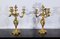 Louis XV Style Gilded Bronze Candelabras, Late 19th Century, Set of 2, Image 1
