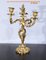 Louis XV Style Gilded Bronze Candelabras, Late 19th Century, Set of 2 18