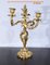 Louis XV Style Gilded Bronze Candelabras, Late 19th Century, Set of 2, Image 18